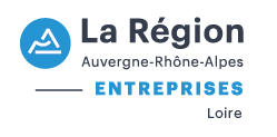 aura entreprises loire